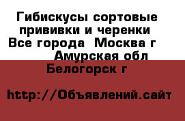 Гибискусы сортовые, прививки и черенки - Все города, Москва г.  »    . Амурская обл.,Белогорск г.